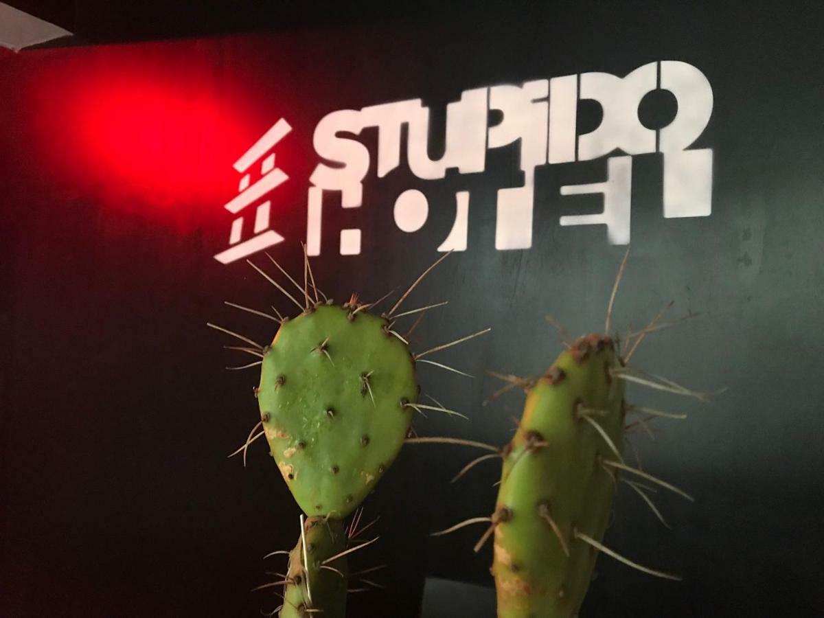 Hotel Stupido